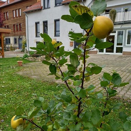 Ferienwohnung Antik Gotha Zewnętrze zdjęcie