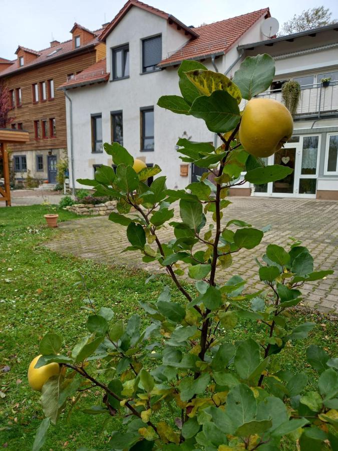 Ferienwohnung Antik Gotha Zewnętrze zdjęcie